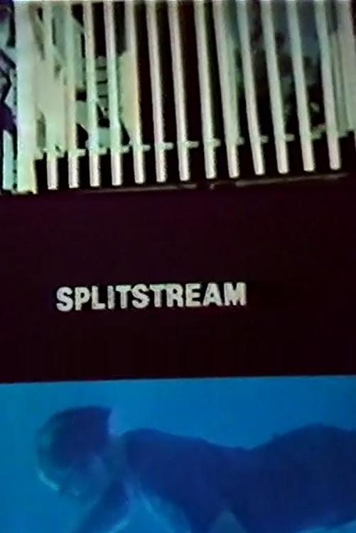 Splitstream poster
