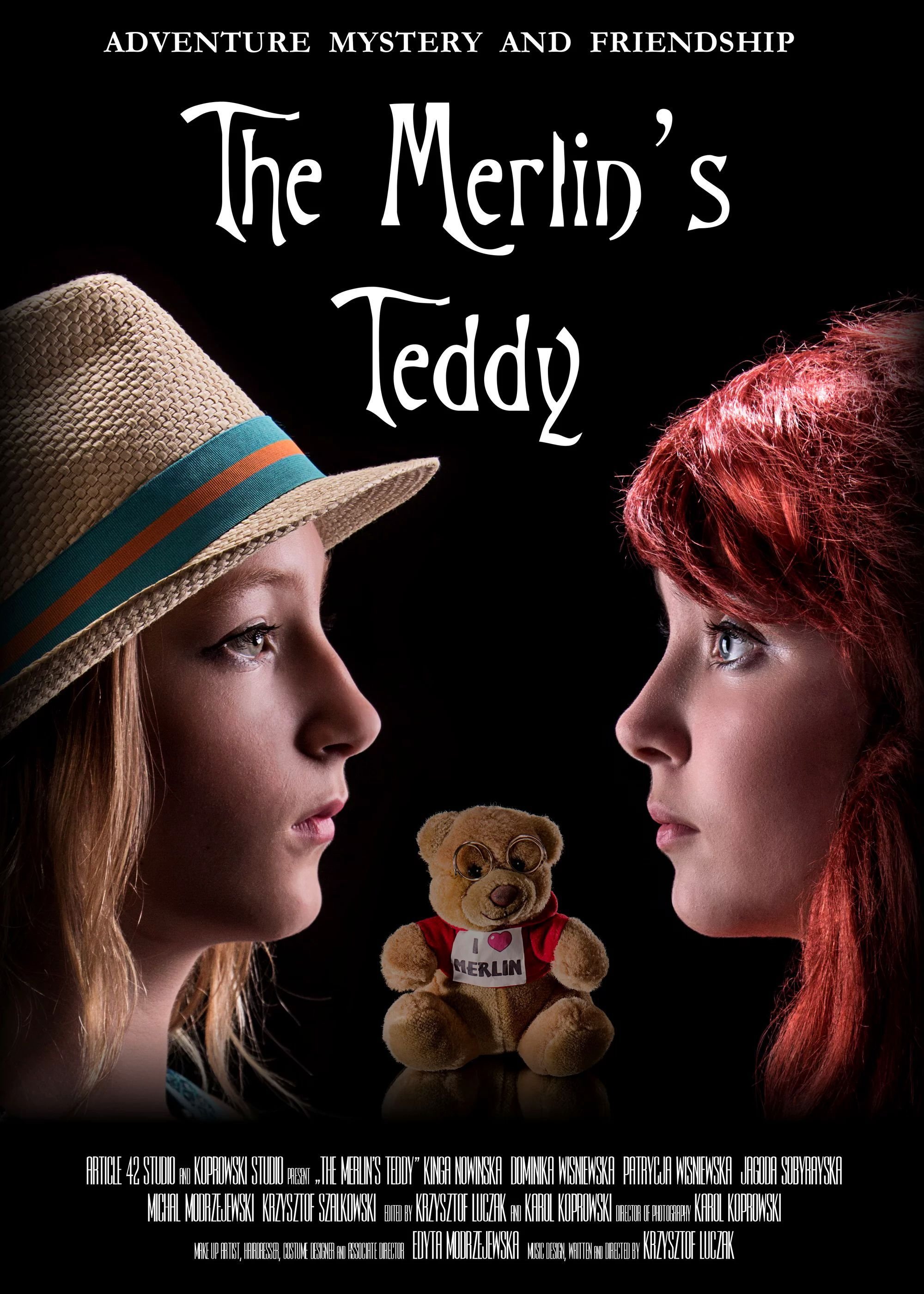 The Merlin's Teddy poster
