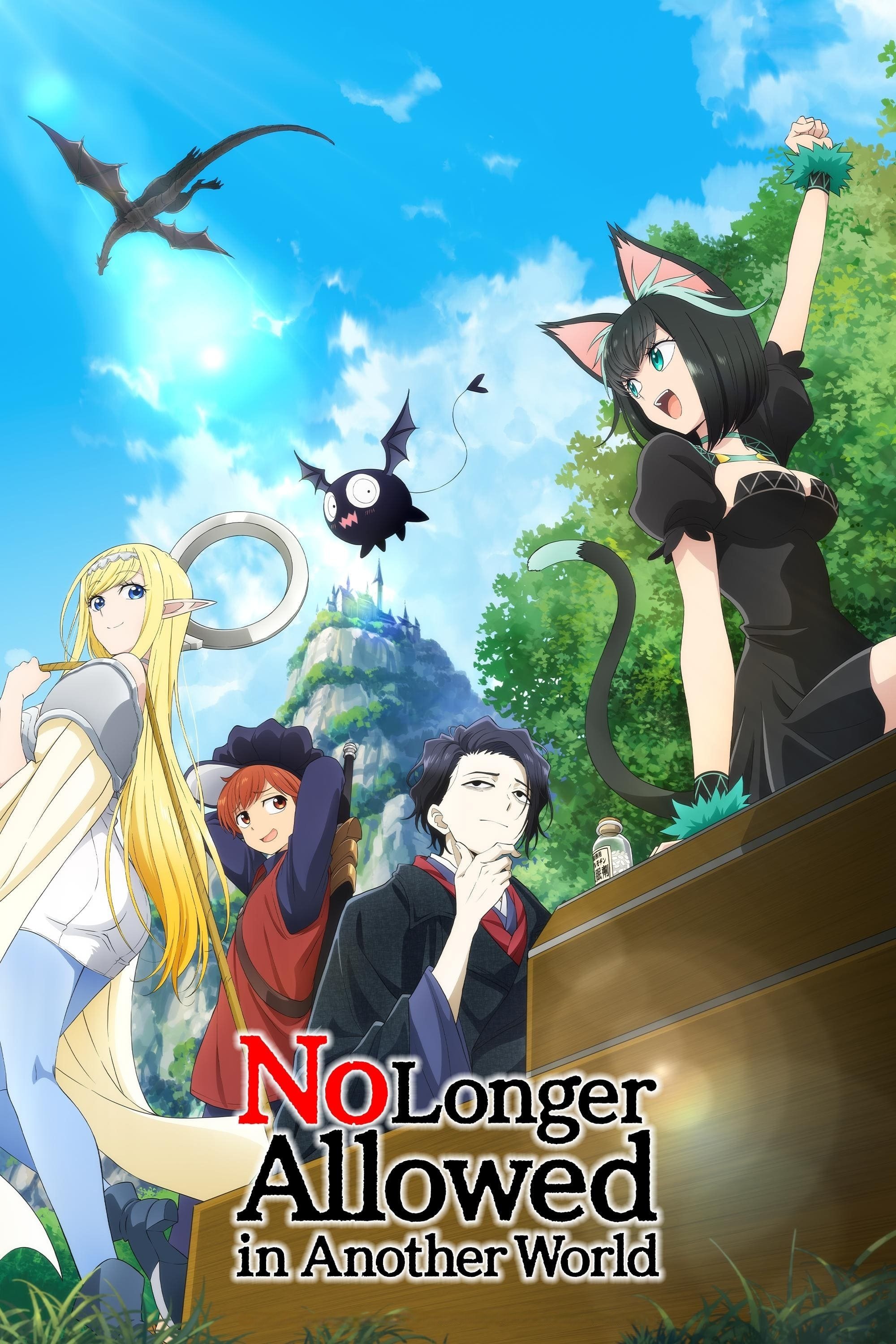No Longer Allowed in Another World poster