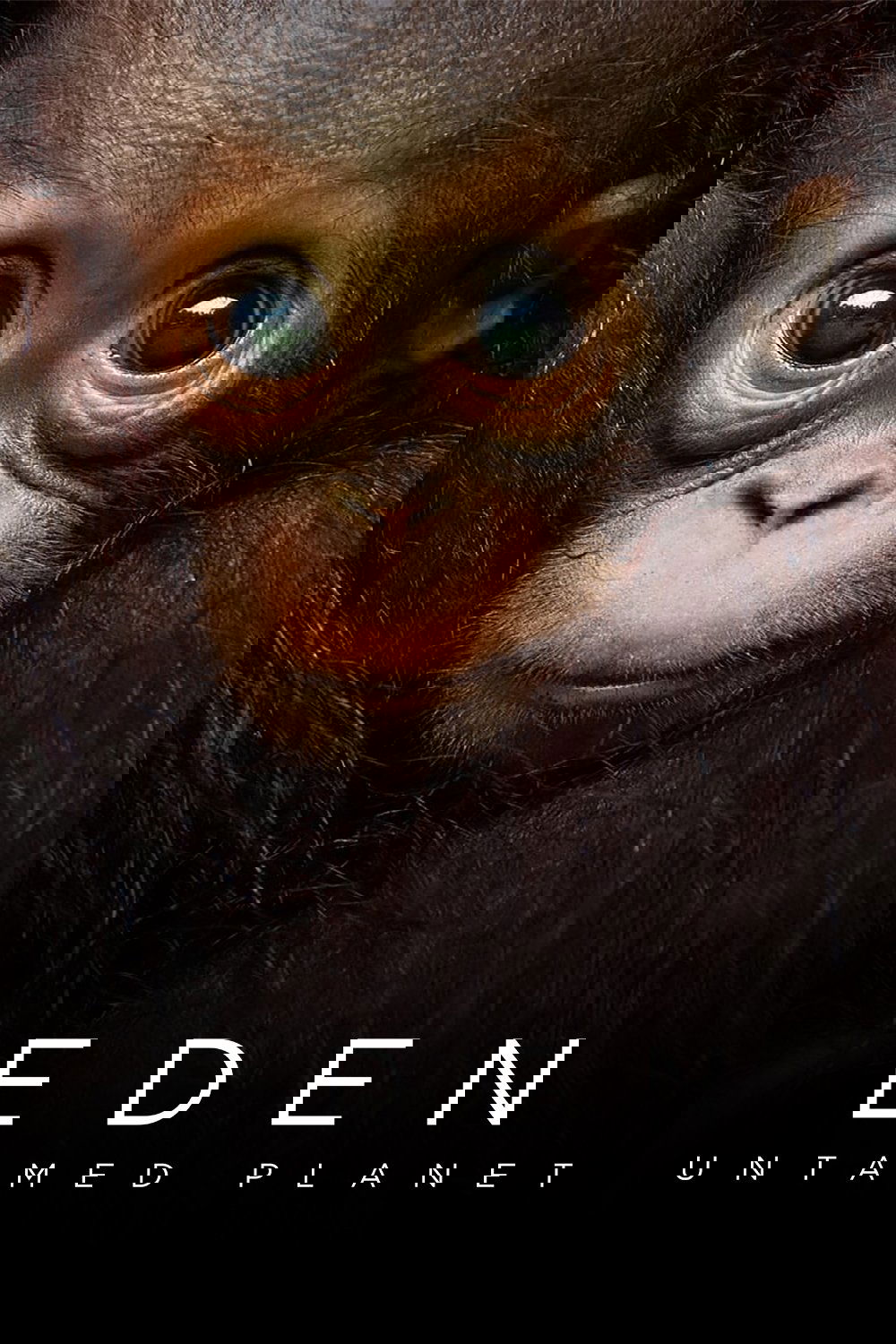 Eden: Untamed Planet poster