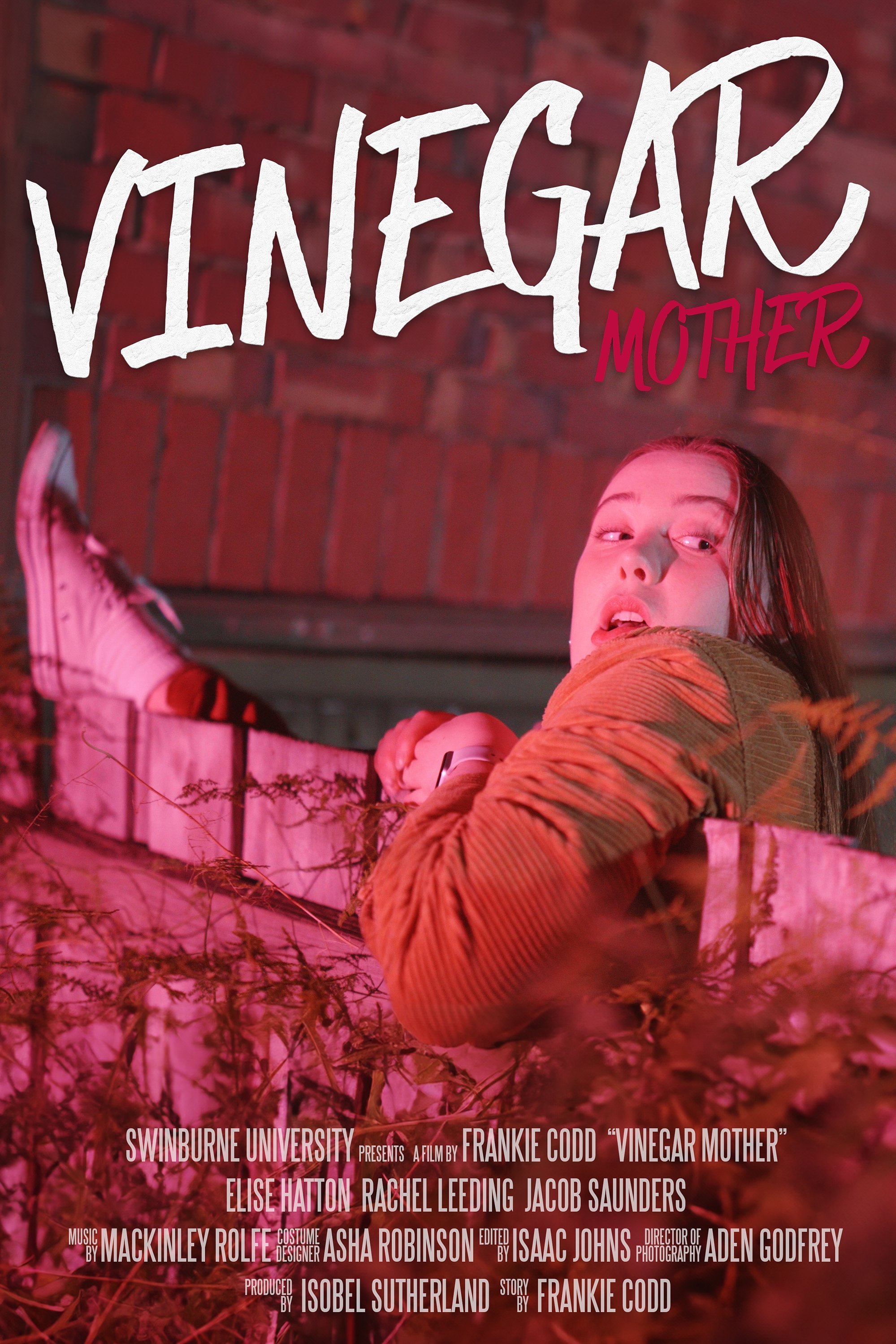 Vinegar Mother poster