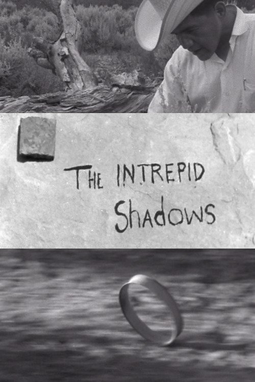 Intrepid Shadows poster