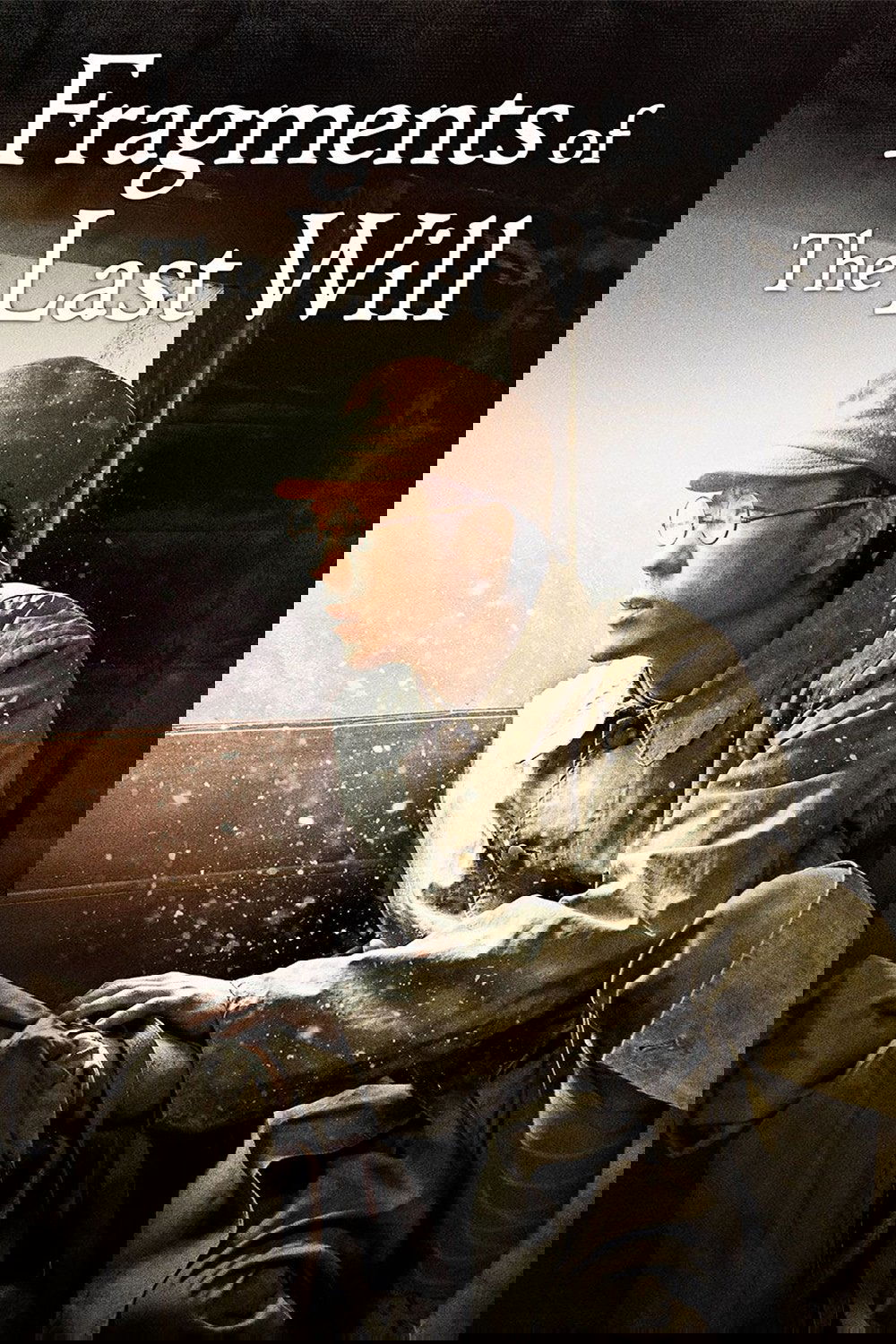 Fragments of the Last Will poster