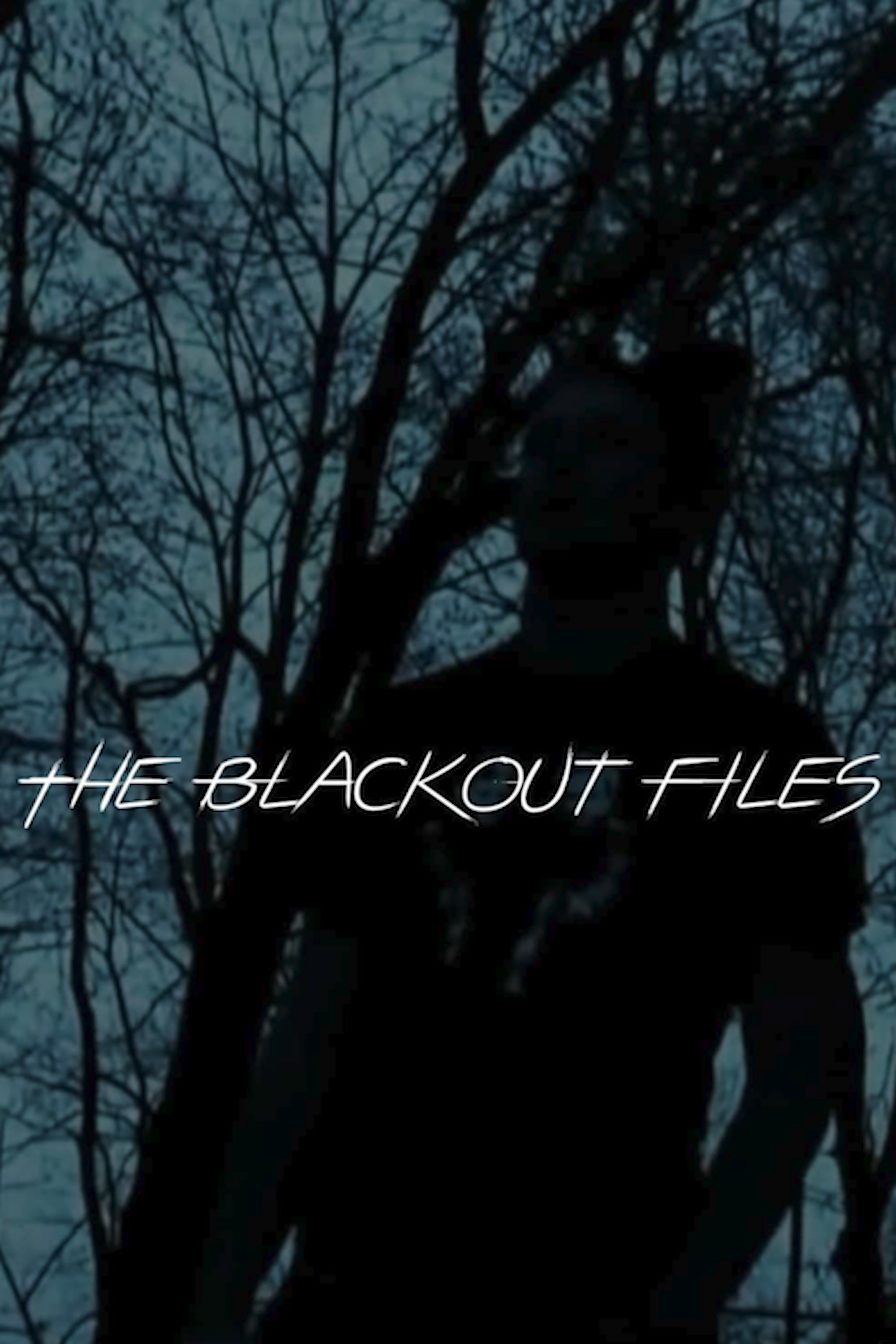 The Blackout Files poster