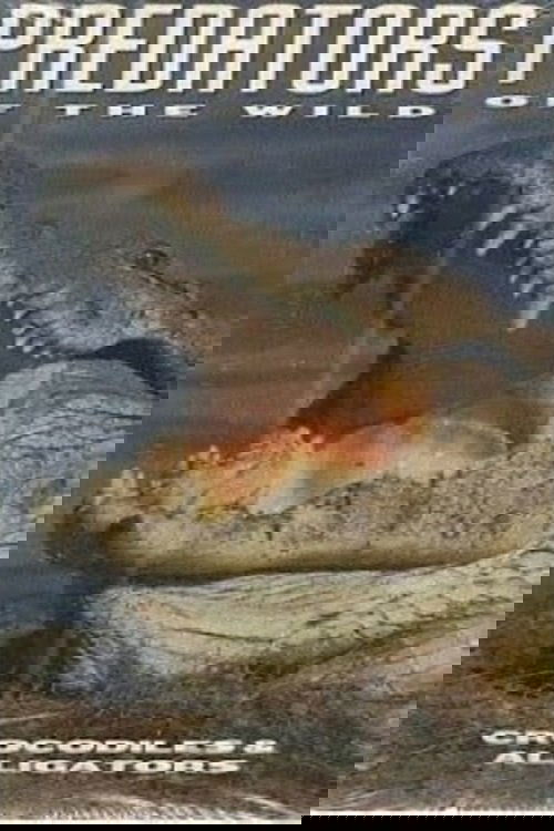 Predators of the Wild: Crocodiles and Alligators poster