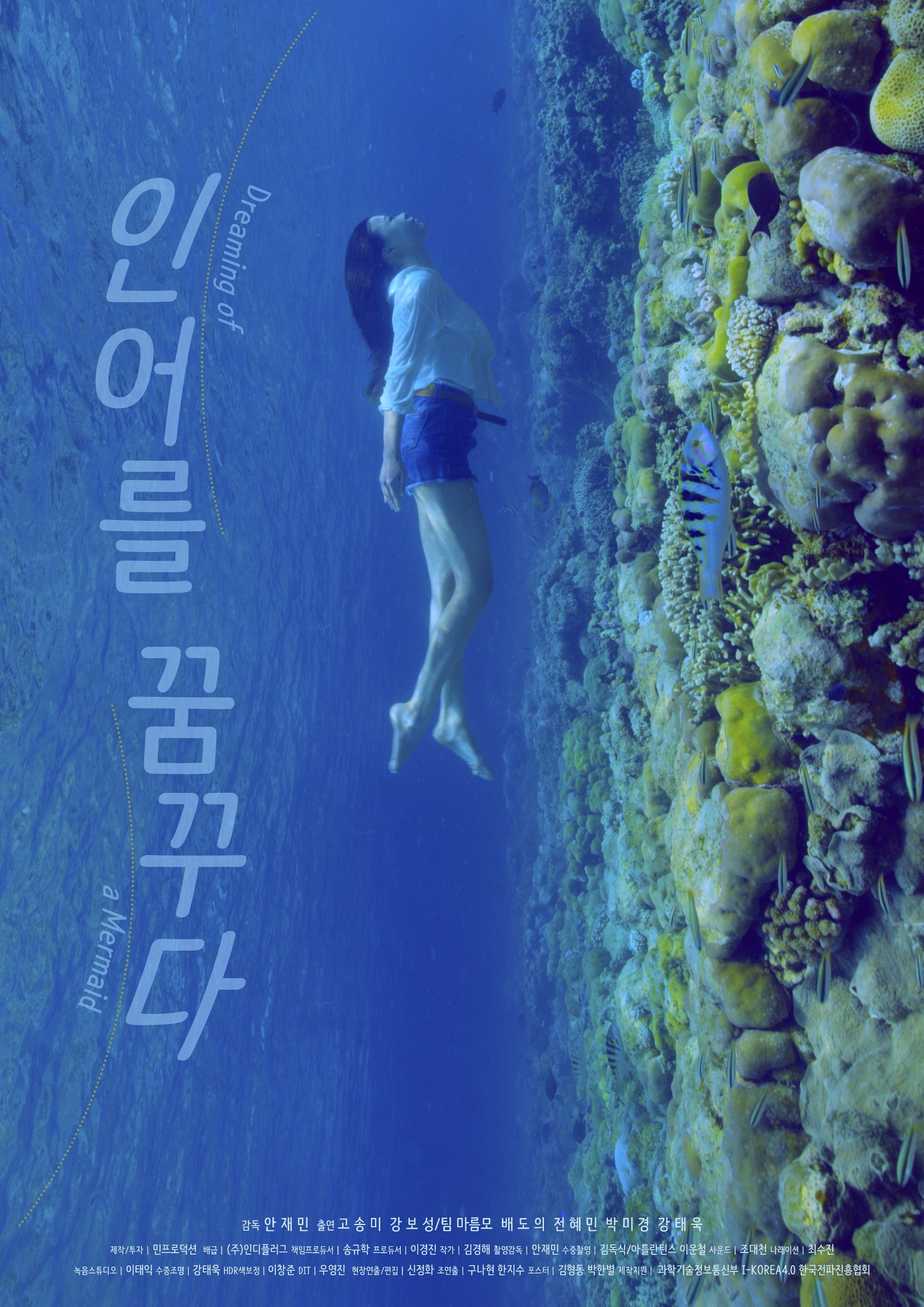 Dream of a mermaid poster