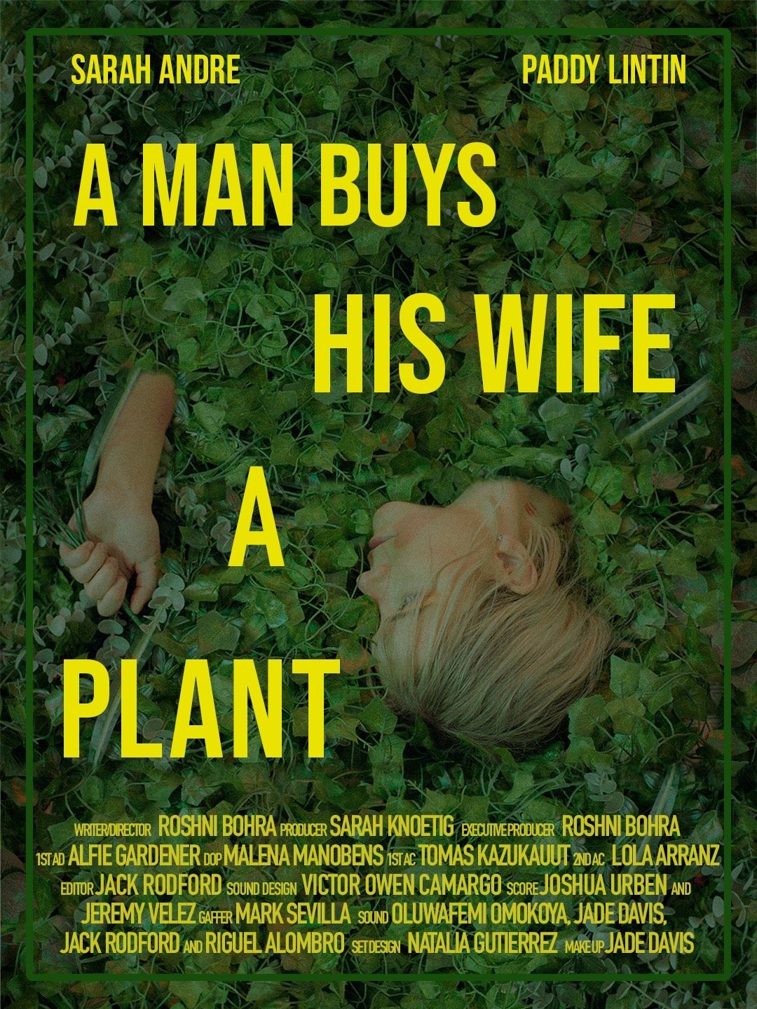 A Man Buys His Wife A Plant poster