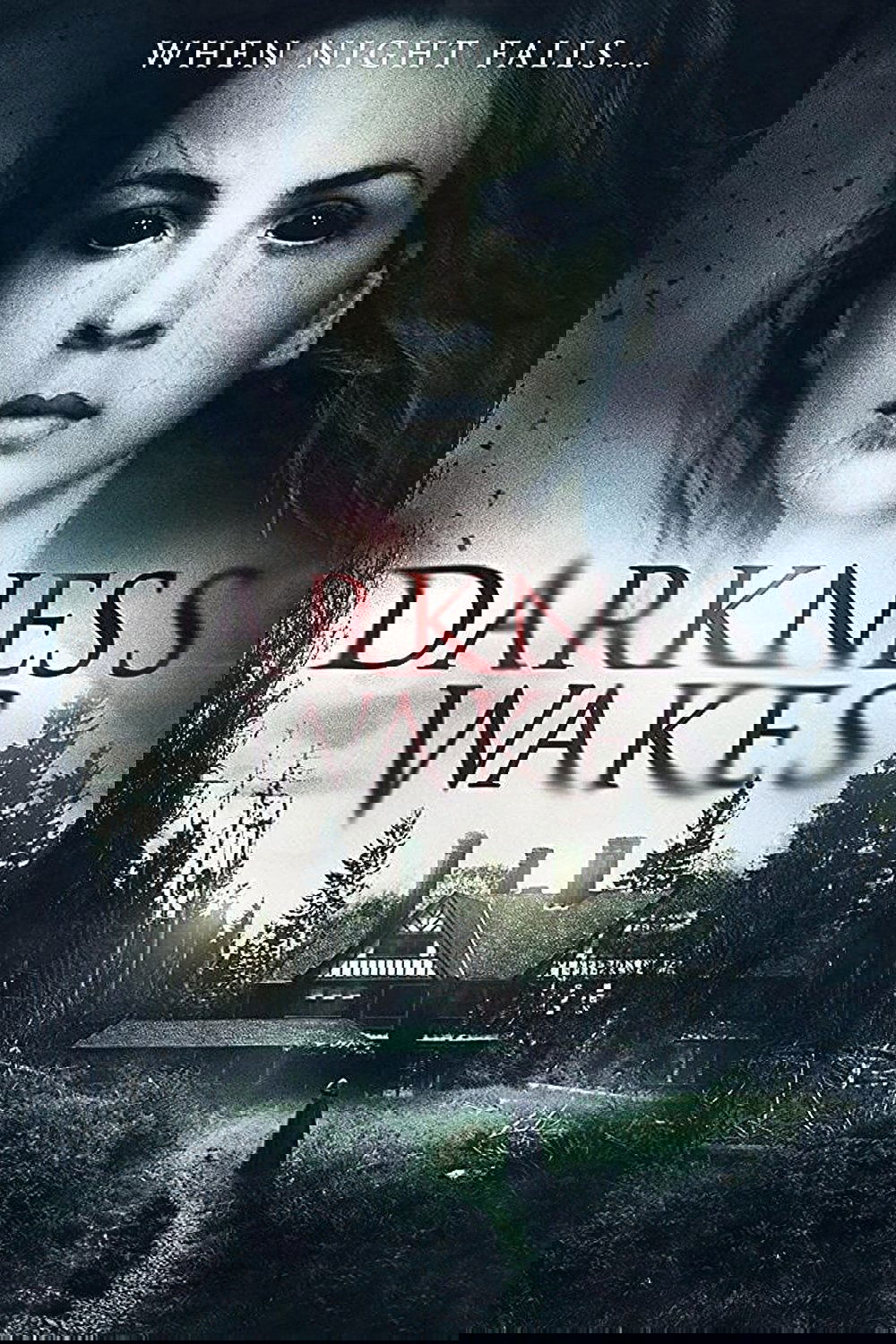 Darkness Wakes poster
