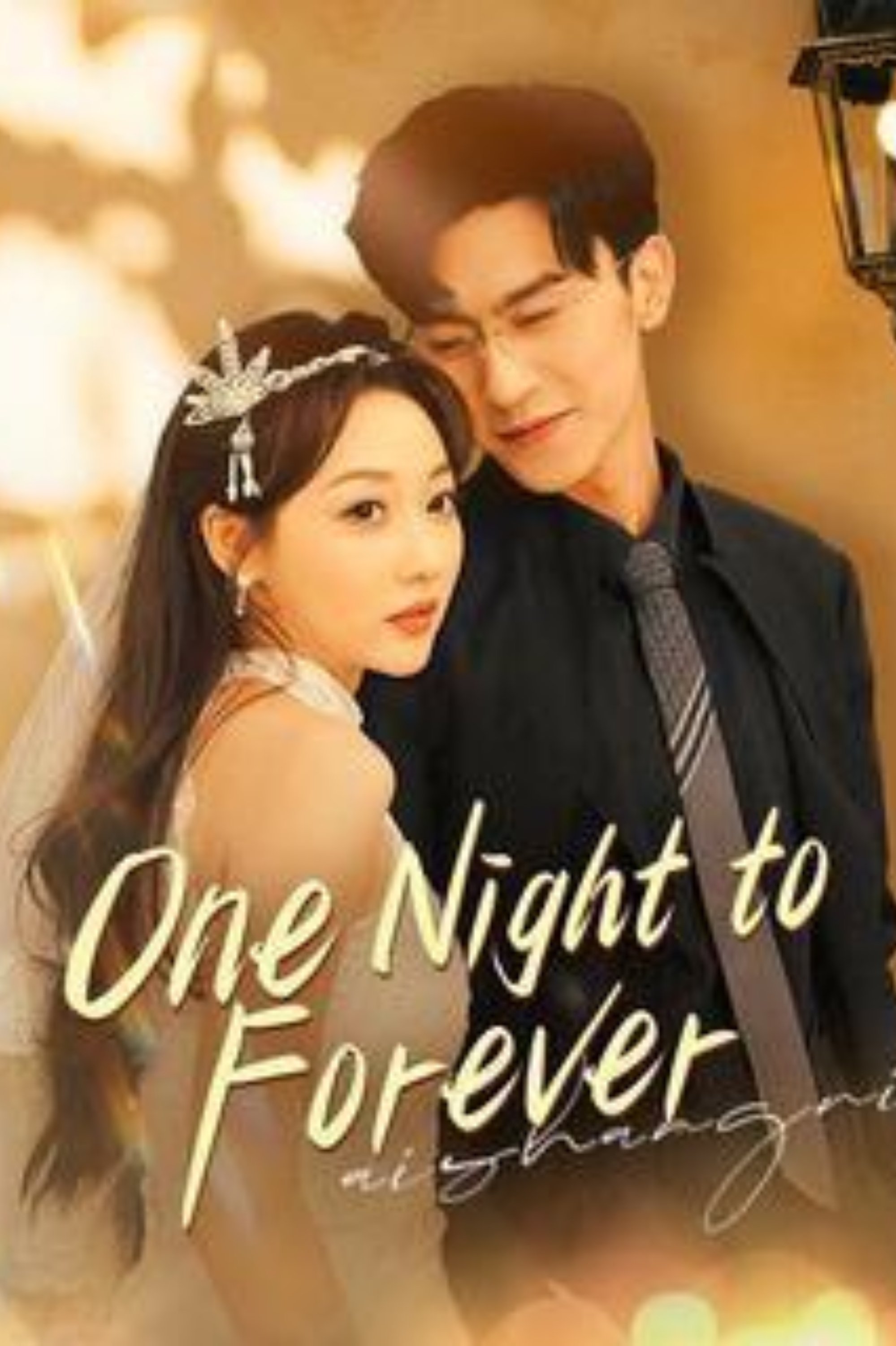 One Night To Forever poster