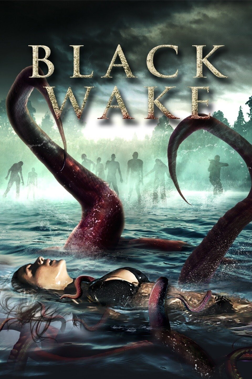 Black Wake poster