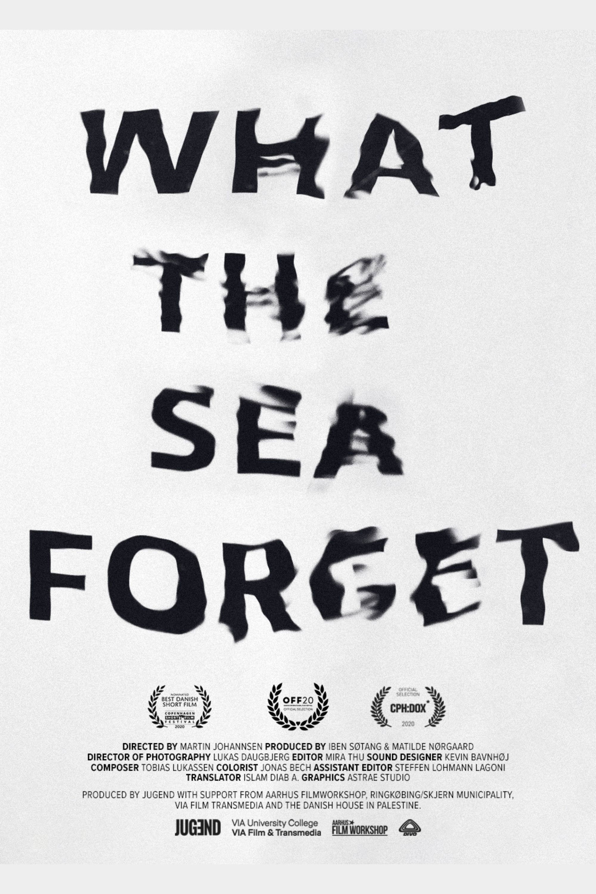 What the Sea Forget poster