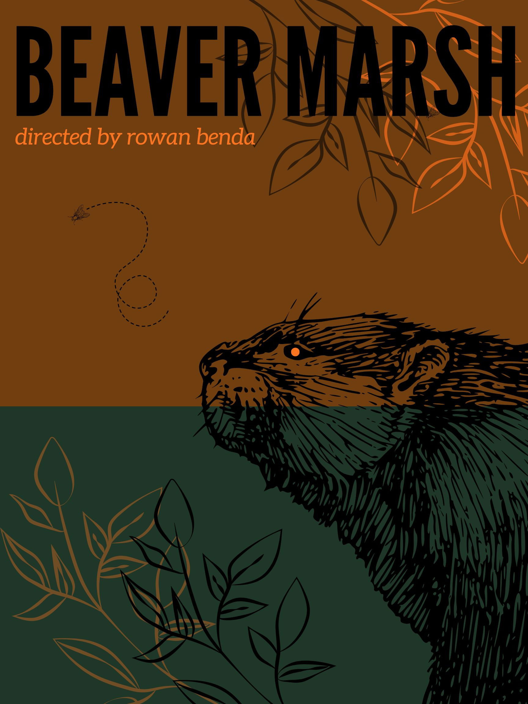 Beaver Marsh poster