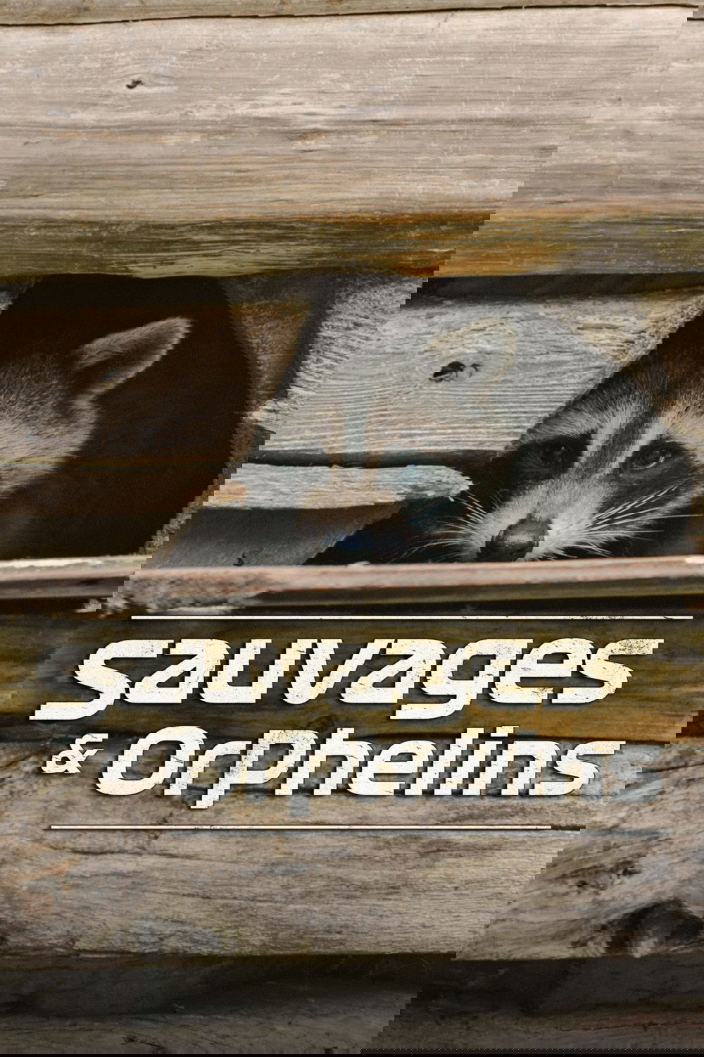Sauvages et orphelins poster