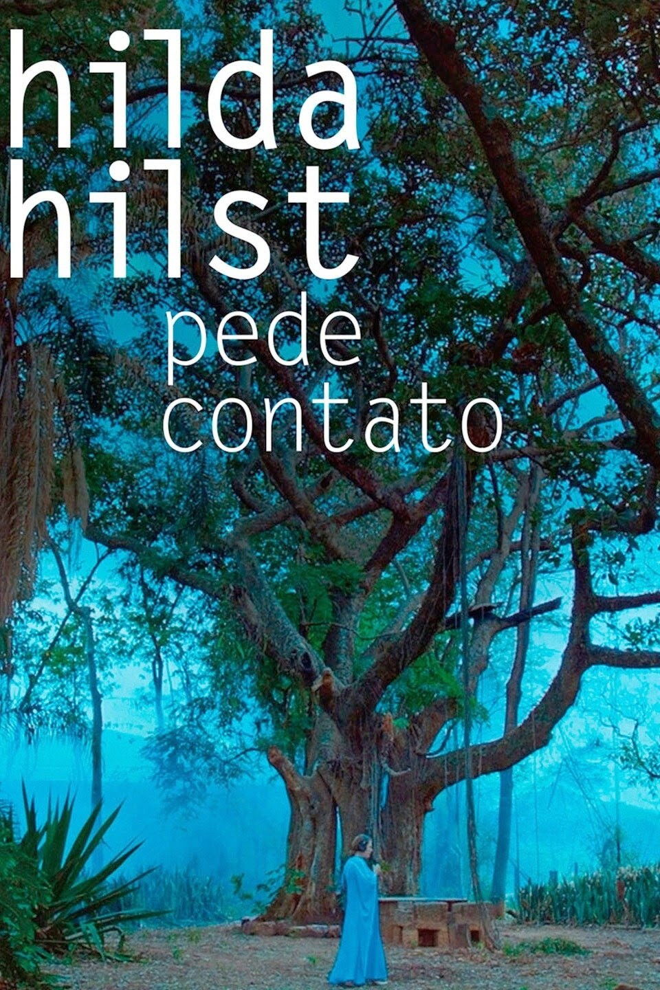 Hilda Hilst Pede Contato poster