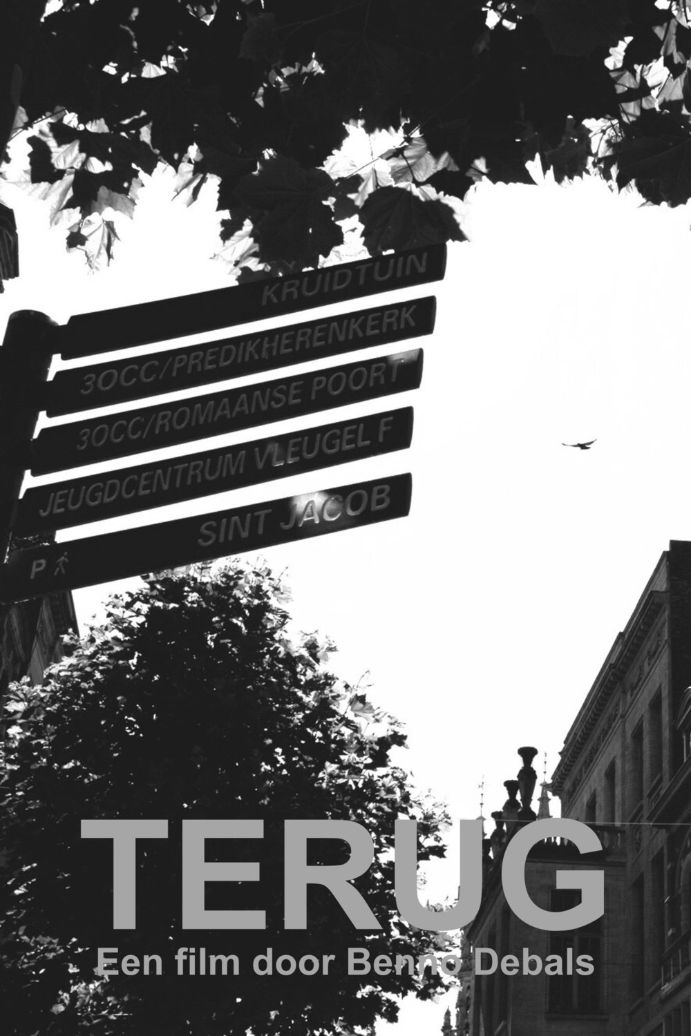 Terug poster