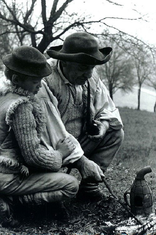 Starý včelár poster