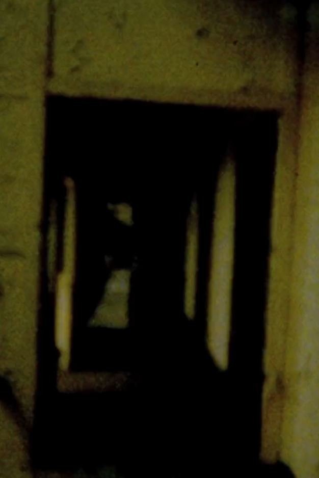 Clip poster