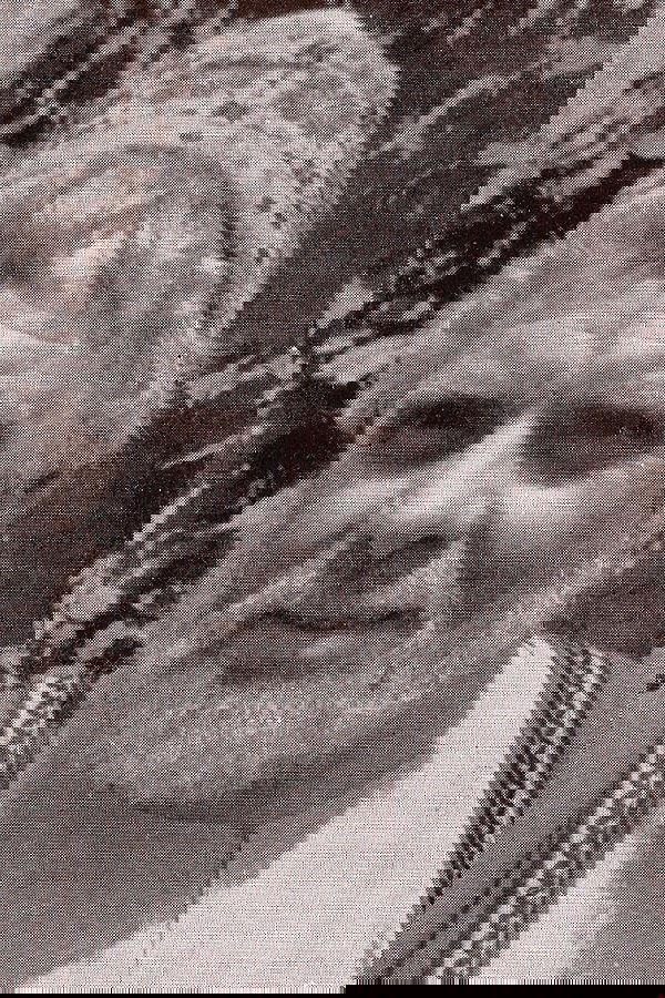 Armando Furlai