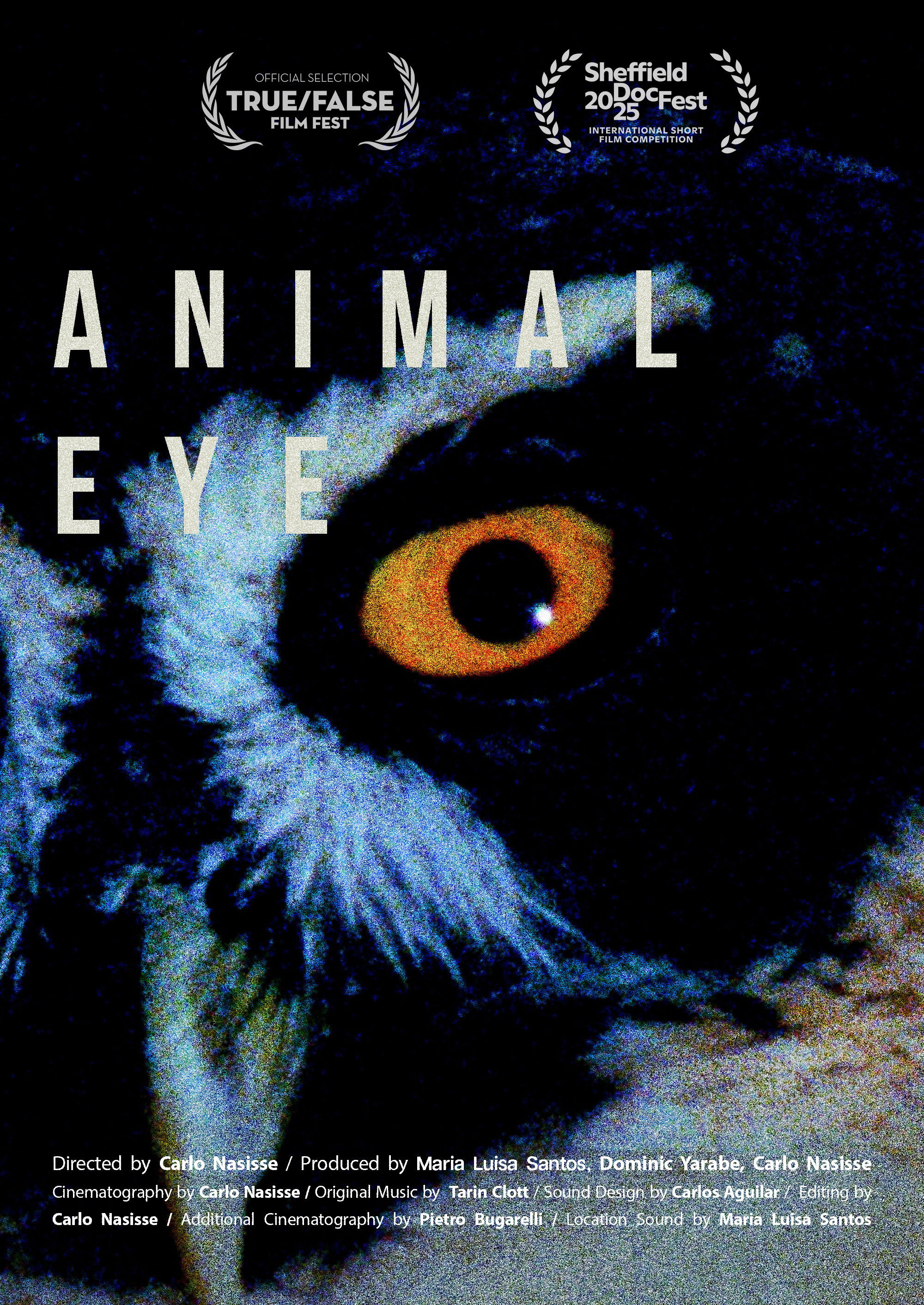 Animal Eye poster