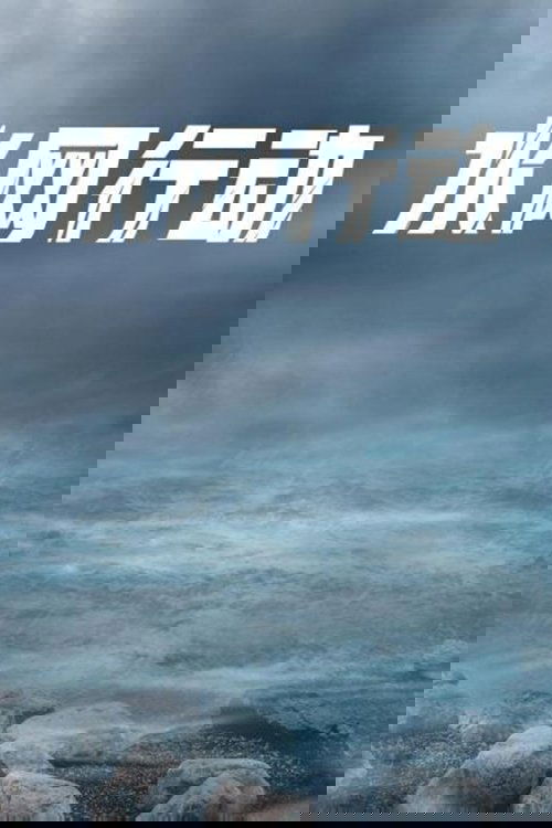 水网行动 poster