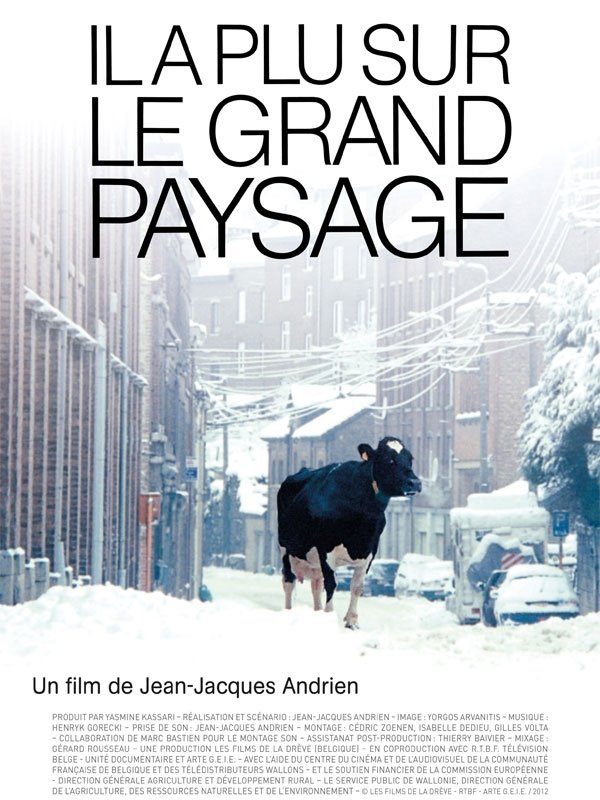 Il a plu sur le grand paysage poster