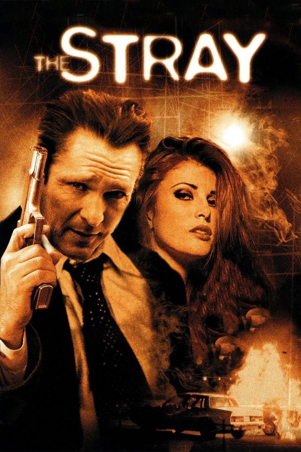 The Stray poster