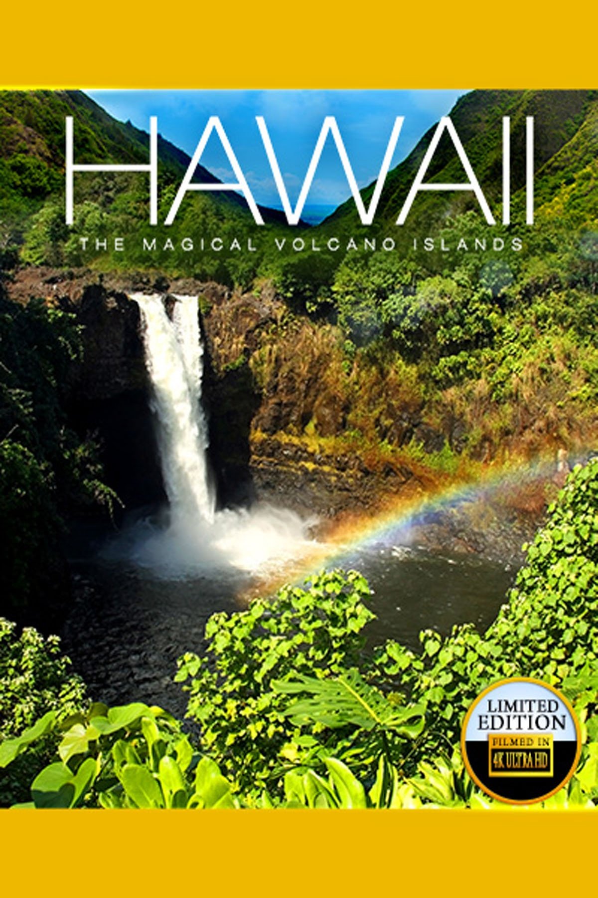Hawaii poster