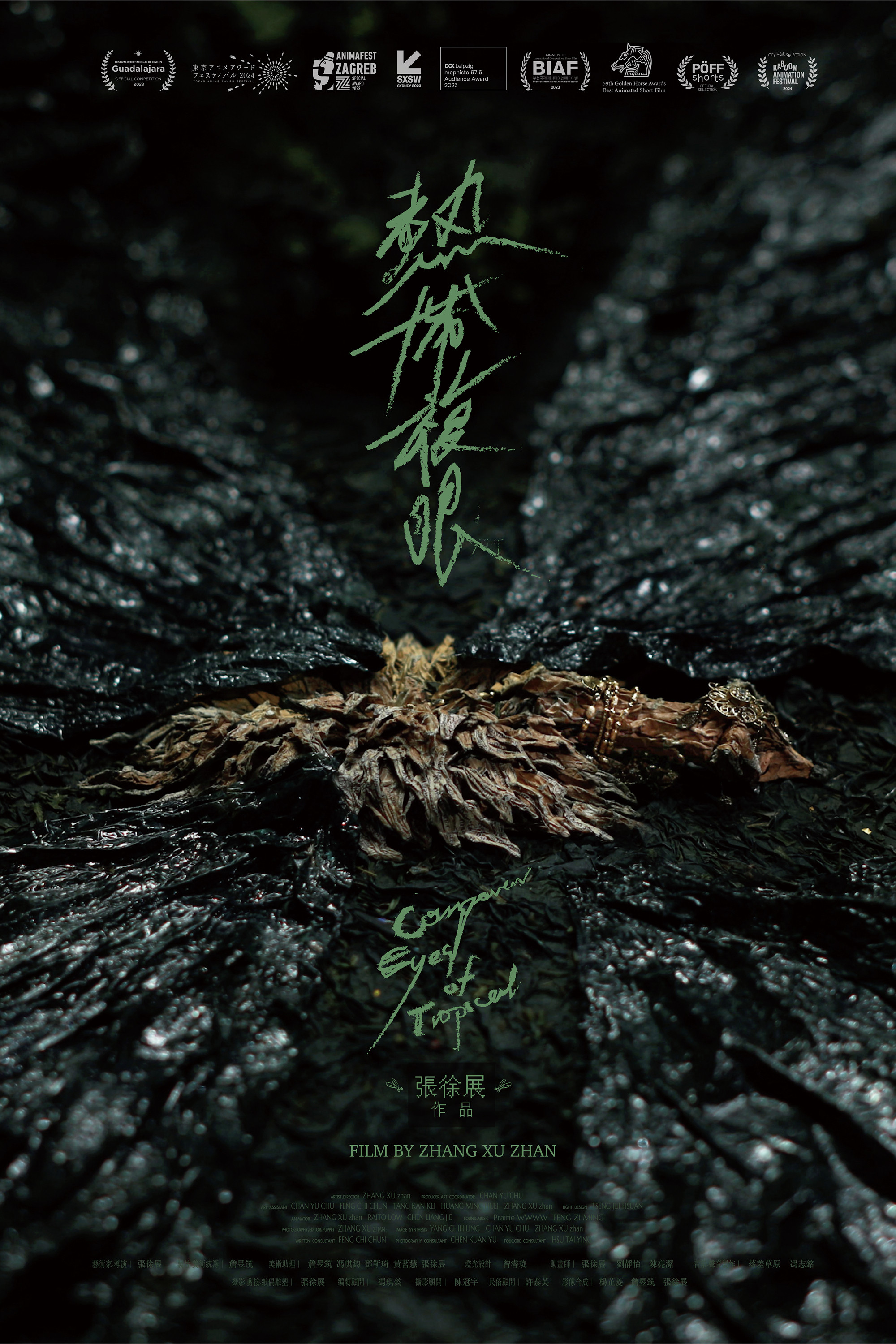 Compound Eyes of Tropical poster