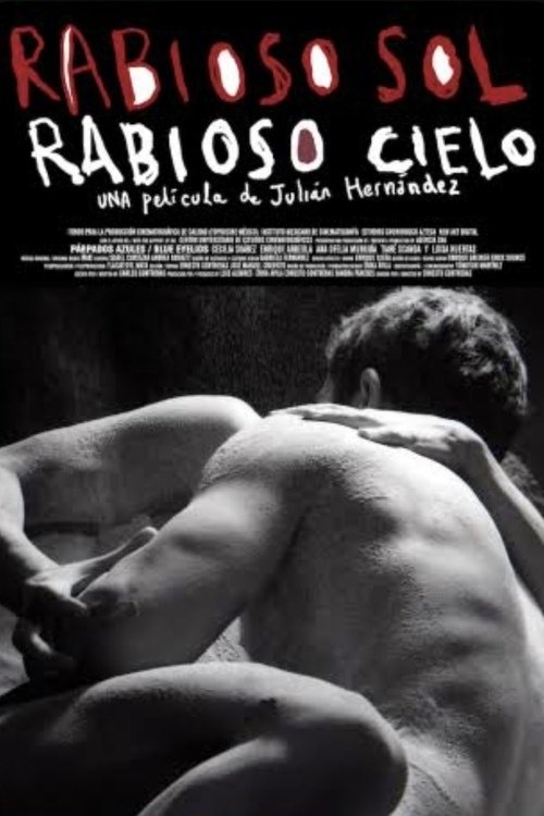 Raging Sun, Raging Sky poster