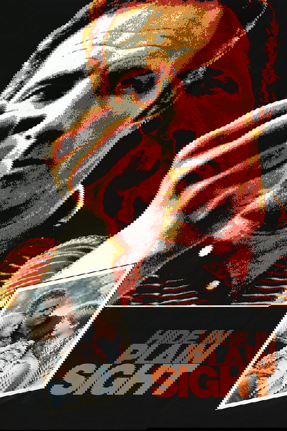 Hide in Plain Sight poster