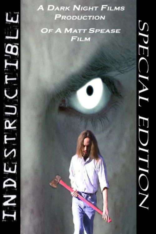 Indestructible poster