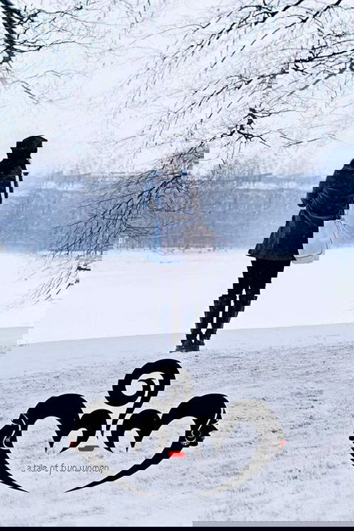 Nee-Na poster