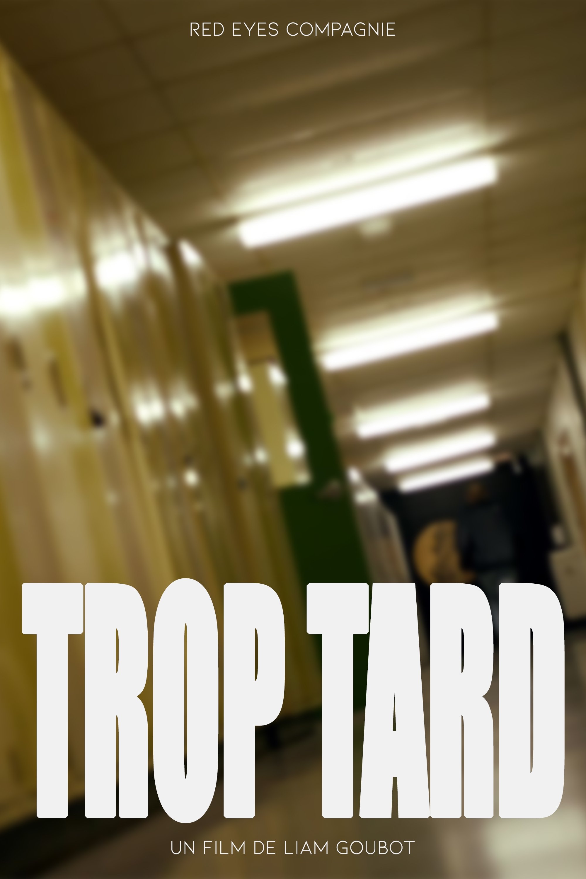 Trop Tard poster