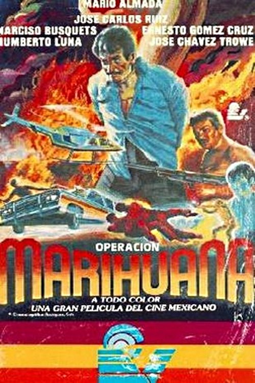 Operacion marihuana poster