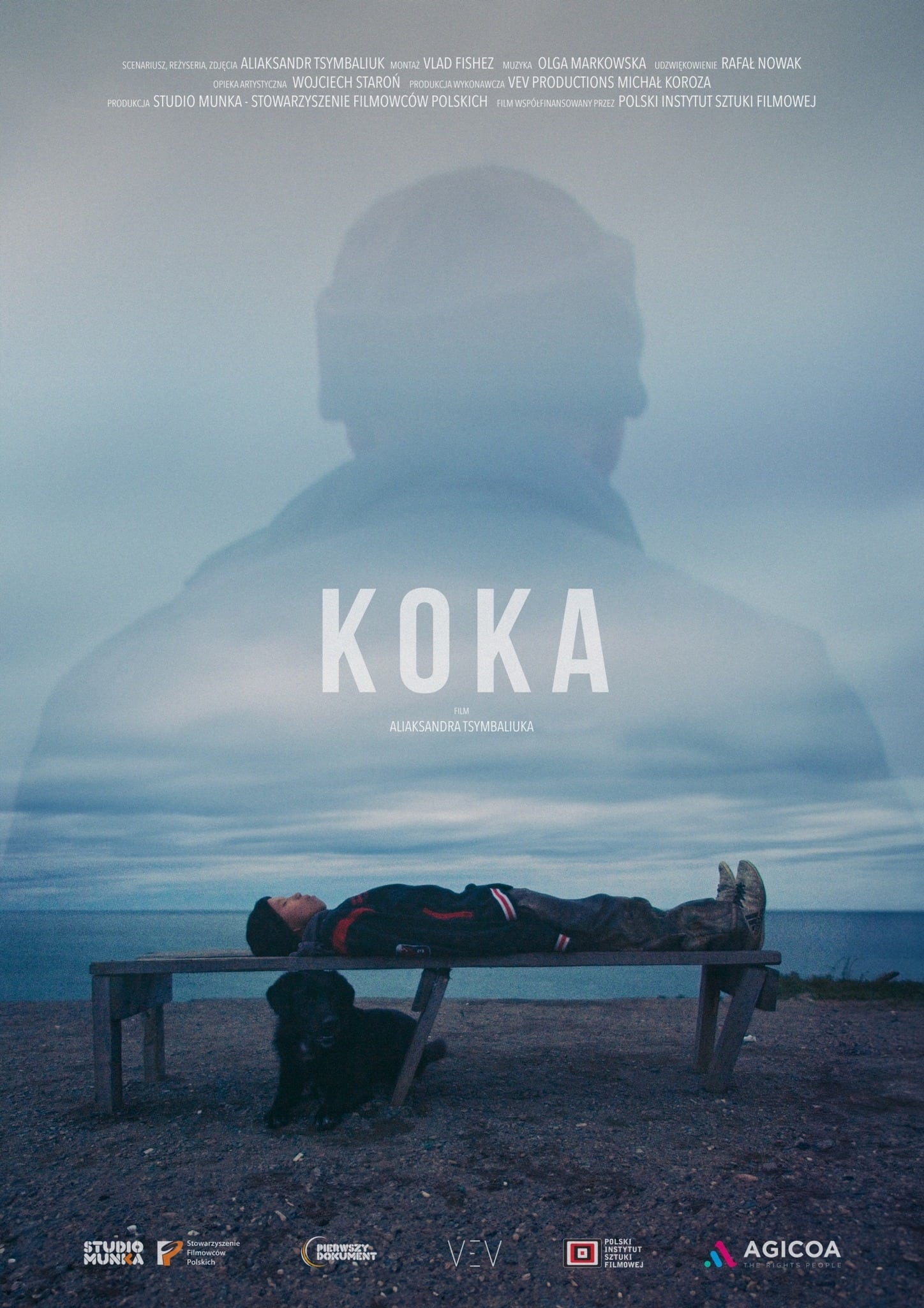 Koka poster
