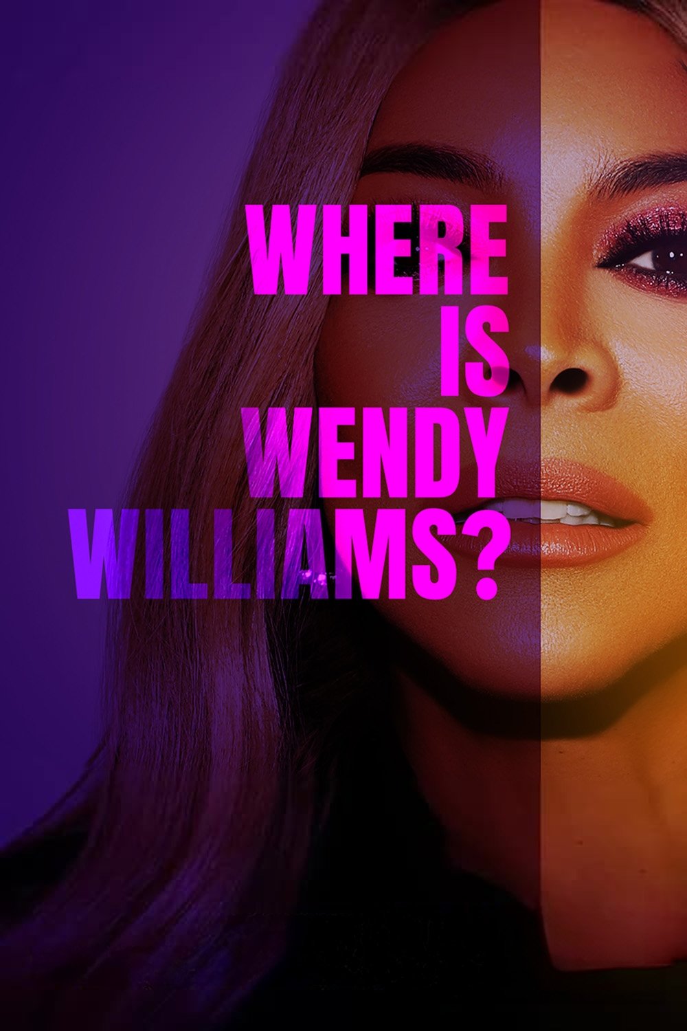 Where Is Wendy Williams? poster