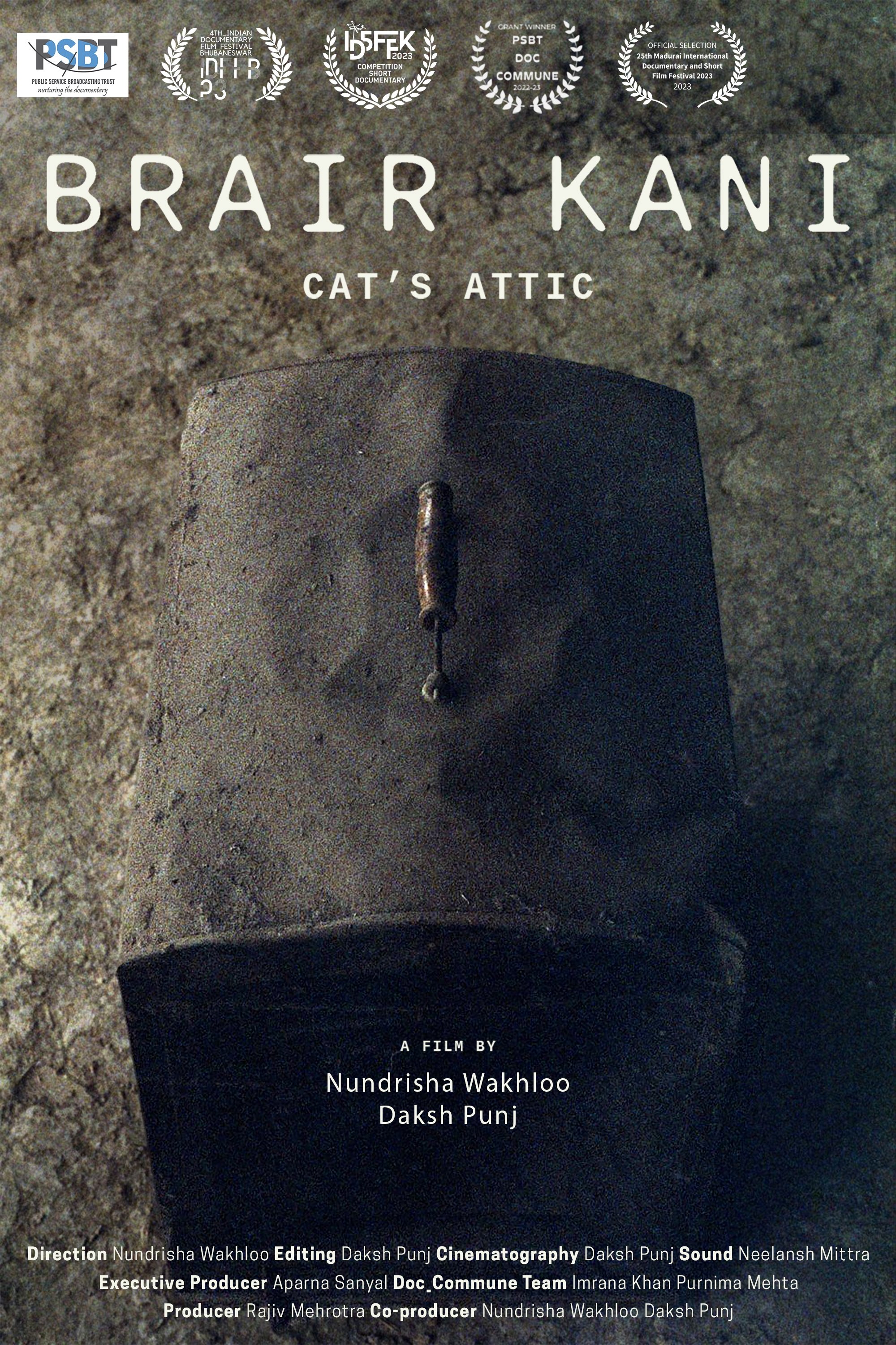 Cat's Attic poster