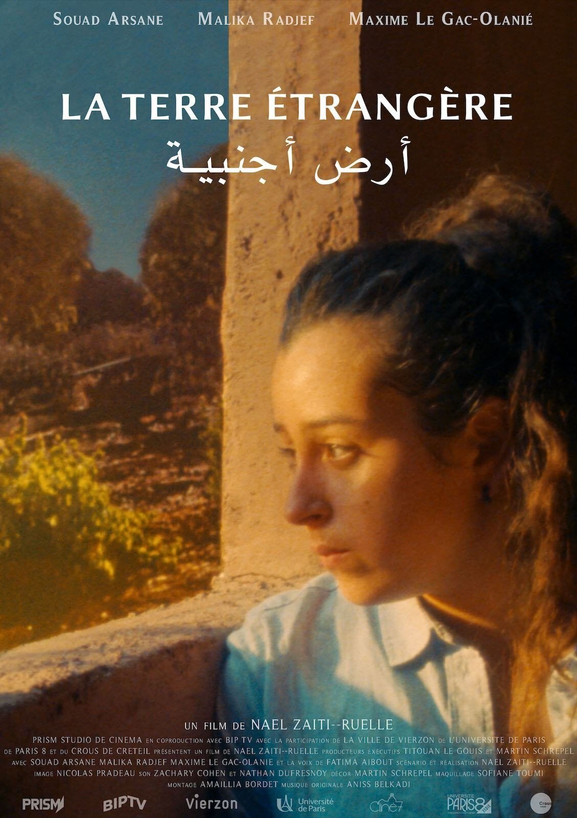 The foreign land poster