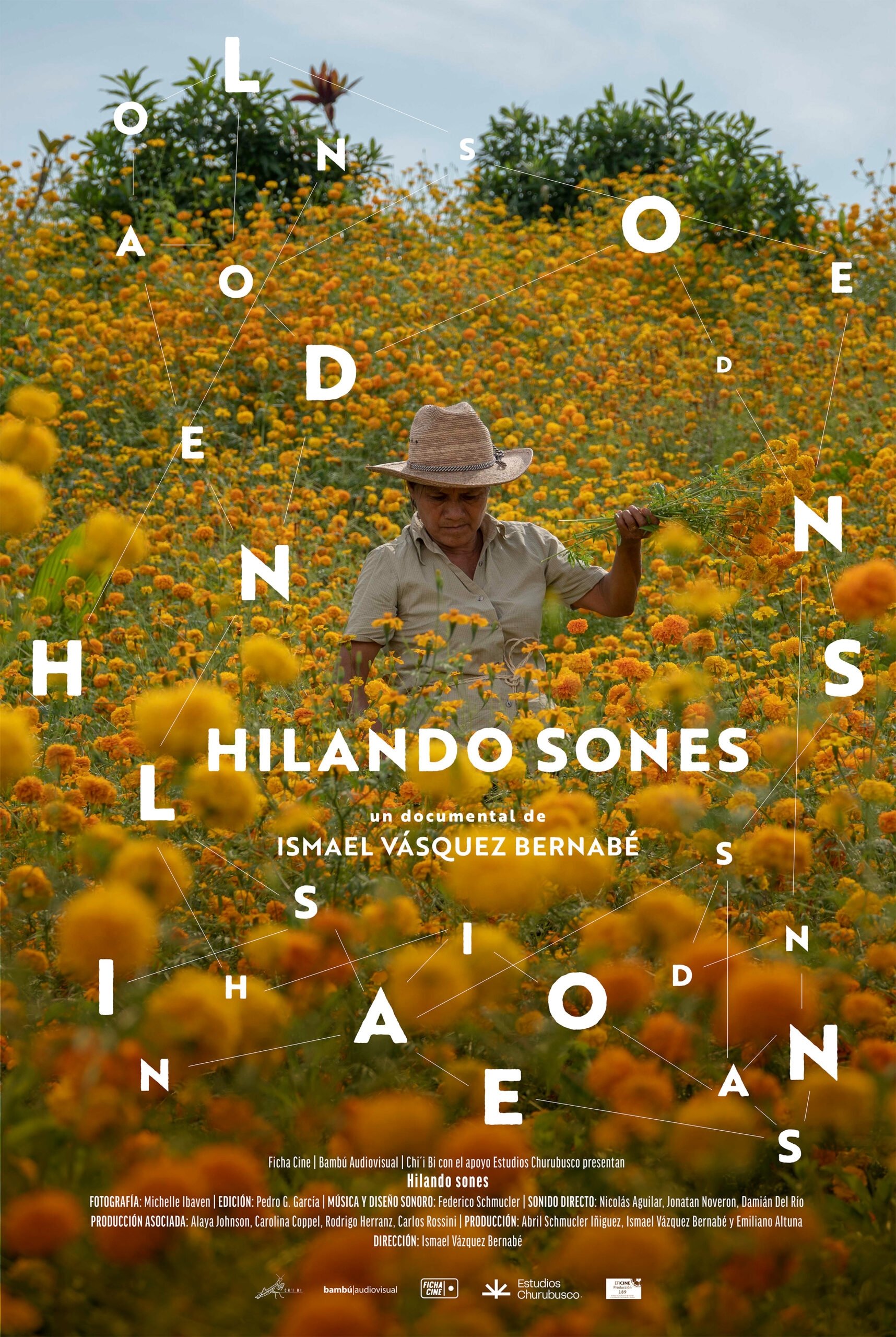 Hilando sones poster