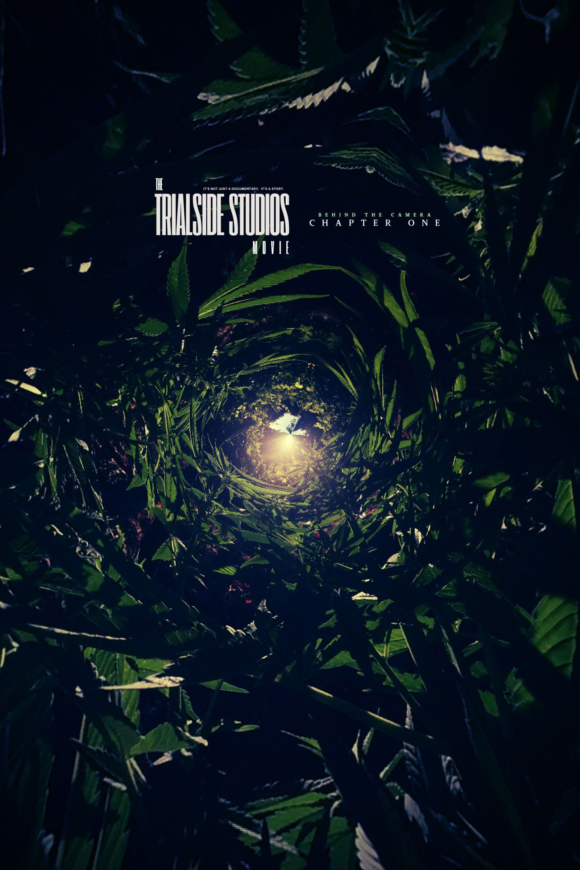 The Trialside Studios Movie: Behind the Camera (Chapter One) poster