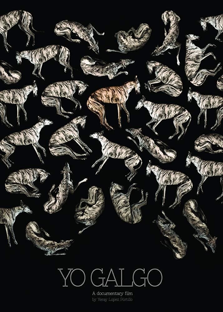 Yo Galgo poster