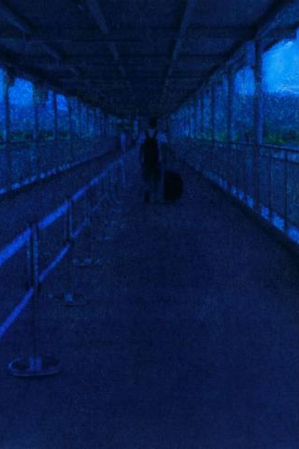 A Foreigner, I Came, A Foreigner, I Leave. poster