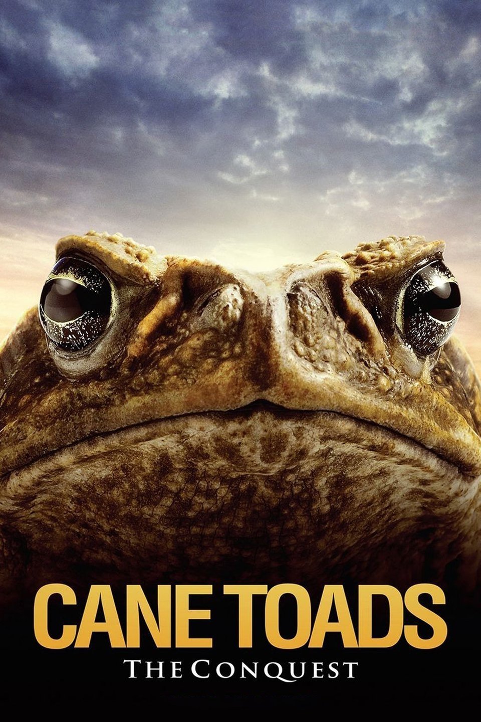 Cane Toads: The Conquest poster