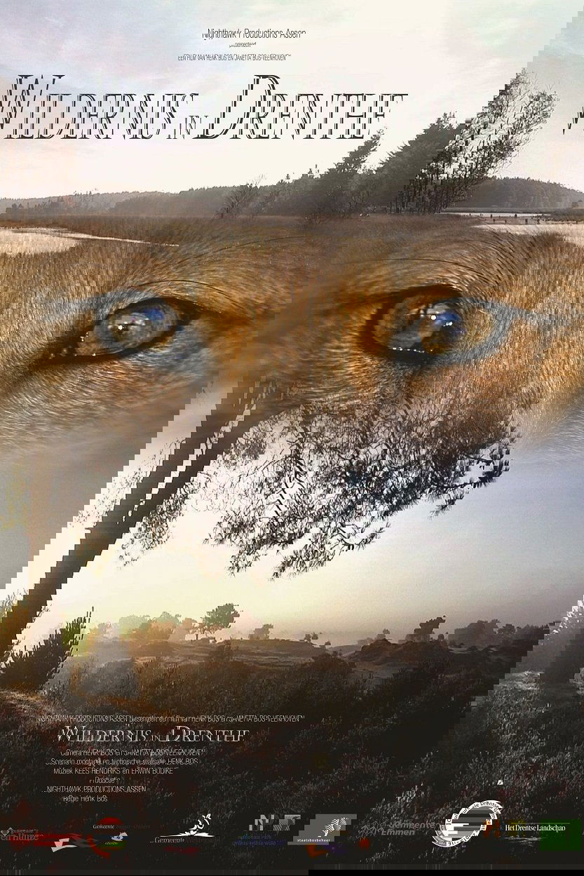 Wildernis in Drenthe poster
