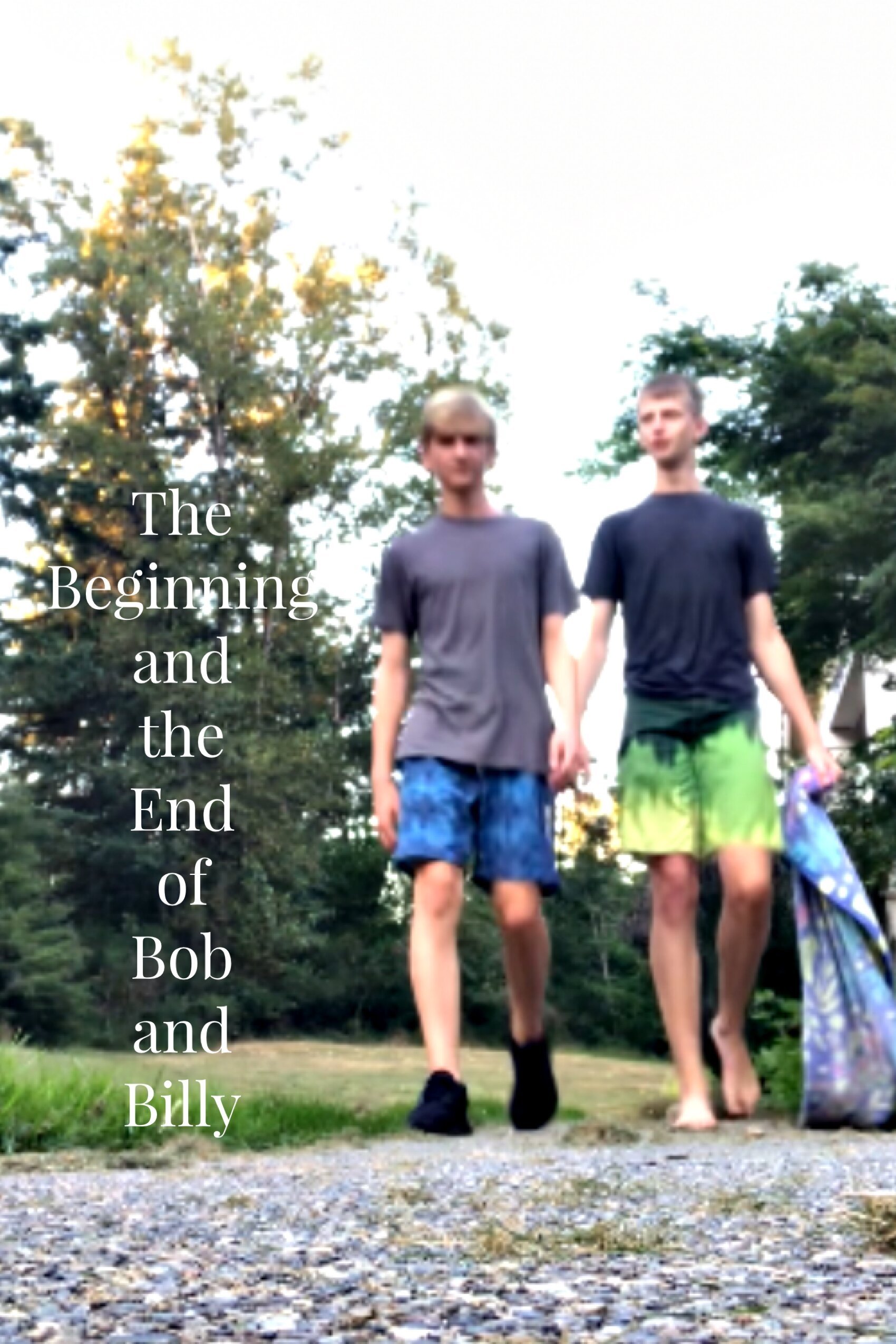 The Beginning and the End of Bob and Billy poster