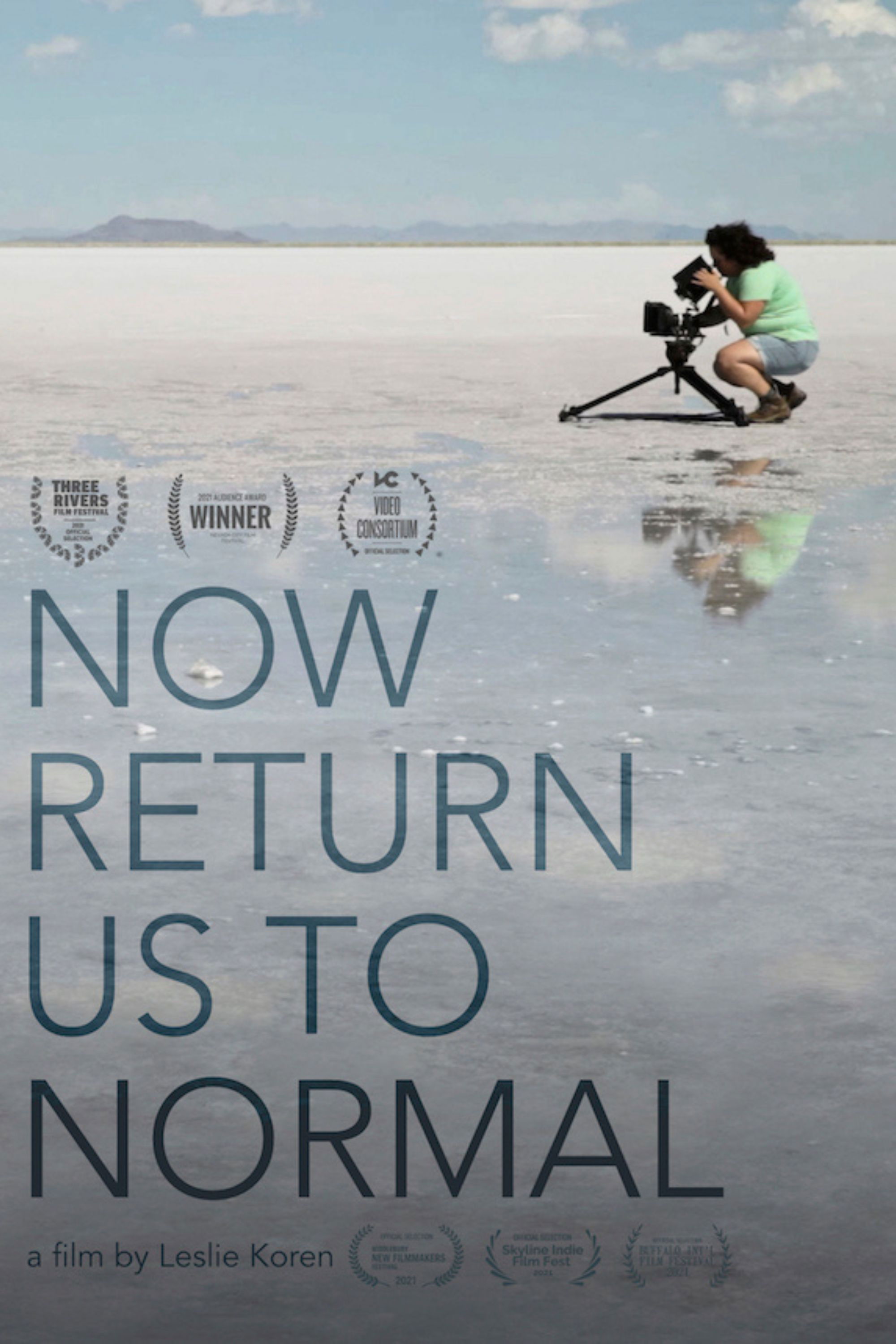 Now Return Us To Normal poster