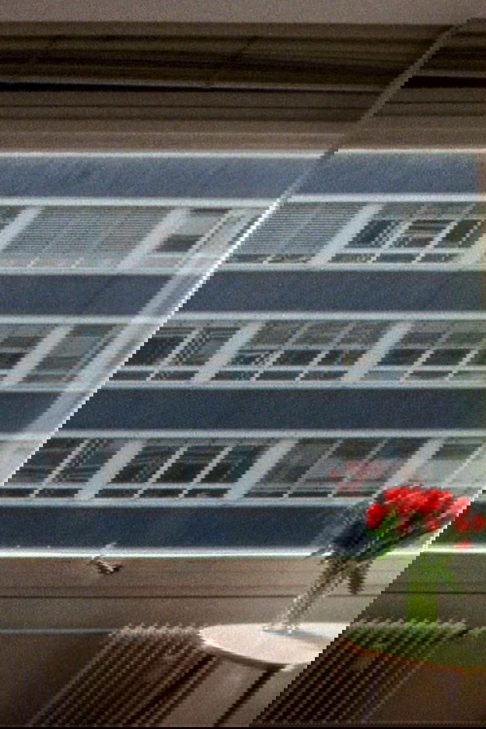 21.3 °C poster