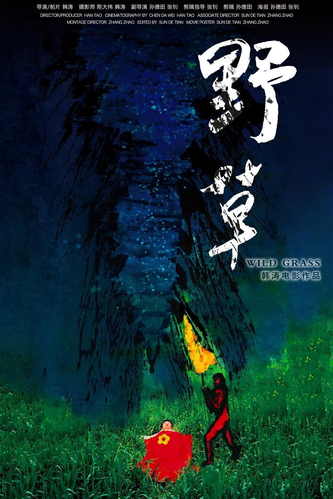 WILD GRASS poster