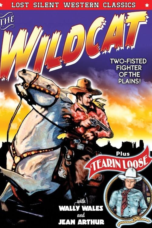 Tearin' Loose poster