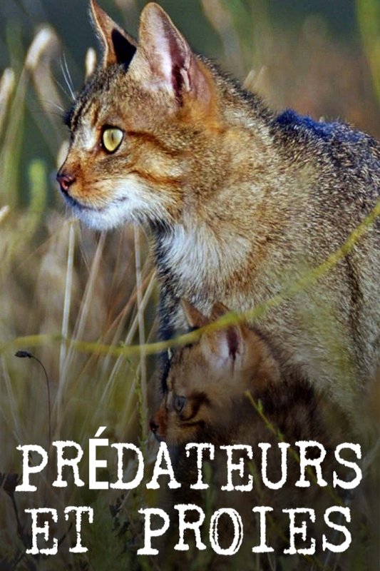 Prédateurs et proies - La faune de la péninsule Ibérique poster